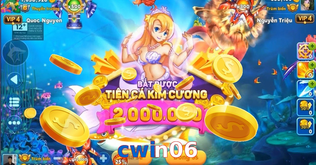 cwin06